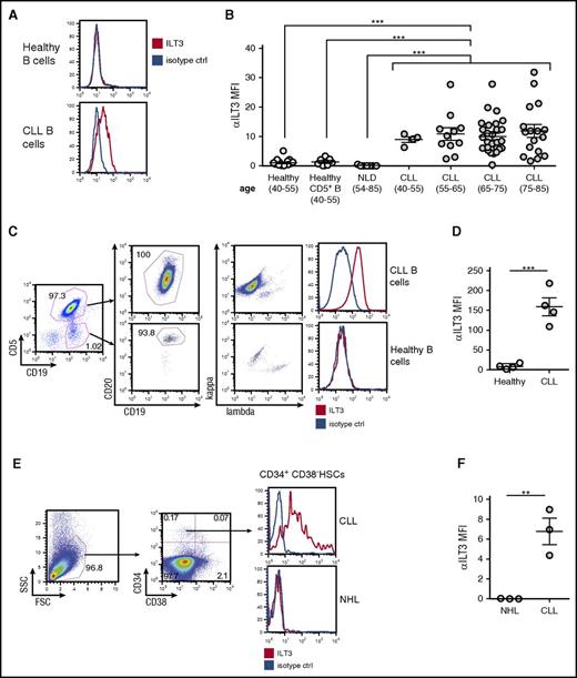 Figure 2. Ectopic expression of ILT3 is specific for peripheral blood CLL cells and CLL progenitors in the bone marrow. (A) Flow cytometric analysis of surface ILT3 expression on representative samples of CD19+ healthy and CLL B cells. (B) Flow cytometric analysis of surface ILT3 expression on B cells from healthy donors, patients with nonlymphoproliferative diseases (NLD), and CLL patients grouped by age. (C) Gating strategy of multicolor flow cytometric analysis to distinguish neoplastic and normal B cells in the same representative CLL patient. (D) Quantification of ILT3 surface expression in healthy and malignant B cells from 4 CLL patients. (E) Gating strategy for flow cytometric analysis to identify HSCs among mononuclear cells isolated from the bone marrow of representative patients. (F) Quantification of surface ILT3 expression on bone marrow HSCs isolated from 3 CLL patients and 3 patients with NHL. Shown are mean values ± SEM. **P < .01; ***P < .001.
