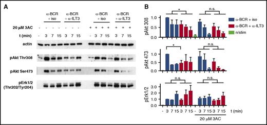 Figure 6. Inhibition of BCR-dependent Akt activation by ILT3 requires SHIP-1. (A) Representative immunoblot of CLL cells, treated with the SHIP-1 inhibitor 3AC or mock treated, and stimulated as indicated for 3, 7, and 15 minutes. (B) Quantitative immunoblot analysis (n = 4 patients). Shown are mean values ± SD. *P < .05.