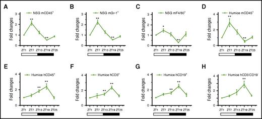 Figure 1. Circadian oscillations of circulating leukocytes in NSG and humanized mice. Blood samples were taken from 10-week-old NSG and humanized mice every 6 hours (ZT1-ZT25) and analyzed for the number of leukocytes (n = 6). The cell counts of each point in individual mice were normalized to the initial cell count at 0 hours (ZT1). Shown are fold changes of cell counts of NSG mCD45+ cells (A), NSG mGr-1+ cells (B), NSG F4/80+ cells (C), humanized mice mCD45+ cells (D), humanized mice hCD45+ cells (E), humanized mice hCD3+ cells (F), humanized mice hCD19+ cells (G), and humanized mice hCD3−CD19− cells at different points against ZT1 (H). *P < .05; **P < .01.