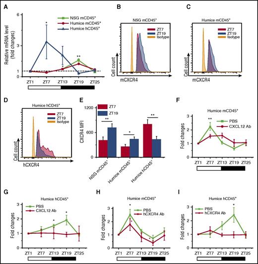 Figure 2. CXCL12/CXCR4 controls the circadian rhythm of leukocyte trafficking. Blood samples were taken from 10-week-old NSG and humanized mice every 6 hours (ZT1-ZT25). (A) Mouse and human CD45+ leukocytes were analyzed for CXCR4 expression by RT-PCR. Shown are fold changes of CXCR4 mRNA levels after normalizing data from each point in individual mice to the initial time ZT1 (n = 6). (B-E) Blood samples were analyzed by flow cytometry for the expression of CXCR4 at ZT7 and ZT19 (n = 6). Shown are representative flow cytometry plots and statistical analysis. (F-I) Humanized mice were treated with PBS and antibodies against CXCL12 (F-G) (n = 6) or CXCR4 (H-I) (n = 6), followed by sampling of blood from ZT1 to ZT25. The cell counts at each point in individual mice were normalized to the initial cell count at point ZT1. Shown are fold changes of numbers of mCD45+ cells and hCD45+ cells. *P < .05; **P < .01.