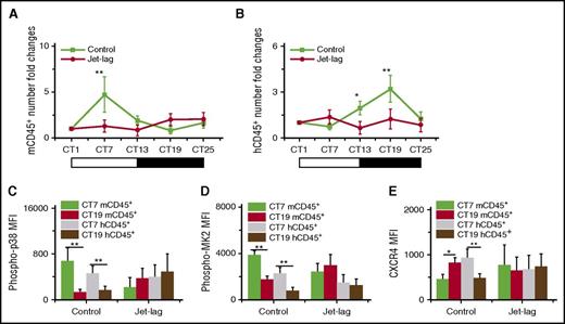 Figure 6. The effect of experimental chronic jet lag on the circadian rhythm of mouse and human leukocytes. Blood samples were taken from 10-week-old humanized mice without (Control) or with (Jet-lag) the induction of jet lag at different times (n = 6). The CT corresponding to light onset (6 am) was defined as CT0. The number counts of mCD45+ (A) and hCD45+ (B) cells at each time in individual mice were normalized to the initial number at time CT1. Shown are fold changes of cell number. The MFI levels of phosphorylation of p38 (C) and MK2 (D) in mCD45+ and hCD45+ cells at CT7 and CT19. (E) The MFI levels of CXCR4 in mCD45+ and hCD45+ cells at CT7 and CT19. *P < .05; **P < .01.