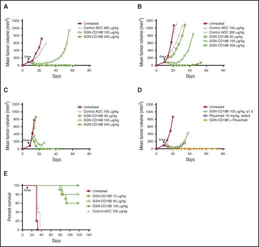 Figure 4. In vivo activity of SGN-CD19B. Xenograft models for B-NHL were established by subcutaneous injection of WSU-DLCL2 (A), Ramos (B), and DoHH2 (C) cell lines, which are derived from DLBCL, follicular lymphoma, and Burkitt lymphoma, respectively. SGN-CD19B or control ADC was administered at a single dose as indicated by the arrowhead when tumor volume reached 100 mm3. Tumor delays occurred at 100 μg/kg dose, and complete durable regressions were achieved at the higher dose of 300 μg/kg. (D) DoHH2 (follicular lymphoma) xenografts were treated with 100 μg/kg of SGN-CD19B (single dose) in the presence or absence of 10 mg/kg of rituximab (every fourth day for 4 injections). Durable cures were attained in 100% of mice treated with SGN-CD19B plus rituximab. (E) A disseminated disease model for ALL was established by injecting 5 × 106 NALM-6 cells per mouse IV into female SCID mice (10 mice per group). Treatment of NALM-6 tumor-bearing mice was started 7 days post tumor implant only once at the doses indicated. Mice treated with ≥10 μg/kg of SGN-CD19B showed significantly improved survival out to >115 days, whereas mice in the untreated or control groups survived <40 days.