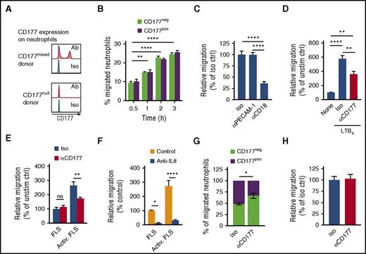 Figure 1. CD177 ligation blocks migration in a PECAM-1-independent manner. Peripheral blood neutrophils were allowed to migrate through 3-µm pores toward LTB4 (B-D, G-H) or supernatants from resting or TNF/IL-17-activated FLS (E-F). (A) Representative histograms of CD177 expression by flow cytometry from a donor with both CD177pos and CD177neg cells (CD177mixed) or CD177neg cells only (CD177null). (B) Time course of migration of CD177pos and CD177neg neutrophils from donors with both populations, demonstrating equal intrinsic migratory efficiency. (C) Addition of blocking antibodies (10 µg/mL) to cells prior to introduction into the transwell demonstrates dependence of migration on CD18 but not PECAM-1. (D) CD177 ligation with MEM166 (10 µg/mL, termed αCD177) impedes neutrophil migration. (E) αCD177 attenuates neutrophil migration toward supernatants from activated FLS. TNF/IL-17-supplemented medium alone does not induce migration (data not shown). (F) Anti-IL-8 blocks the chemotactic effect of stimulated FLS. Data in panels B-F are normalized to no-chemoattractant migration to enable pooling of data from multiple donors. (G) αCD177 decreased the proportion of CD177pos neutrophils in the bottom chamber, indicating selective migratory blockade of CD177pos cells. (H) Migration of neutrophils obtained from a CD177null donor was unaffected by αCD177. All experiments reflect duplicate or triplicate wells per condition and are representative of 3 to 5 similar experiments. Means ± SEMs. *P < .05; **P < .01; ****P < .0001; by 2-way analysis of variance (ANOVA) (B-G) or 1-way ANOVA (C,D), followed by Tukey's multiple comparisons test. Ab, antibody; activ, activated; ctrl, control; iso, isotype; ns, not significant; unstim, unstimulated.