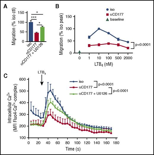 Figure 6. CD177-mediated ERK activation impairs chemoreceptor signaling. (A) Neutrophils were pretreated with MEK inhibitor U0126 (1 µM, 15 min), exposed to αCD177, and then allowed to migrate through a 3-µm pore transwell toward LTB4 for 2 h. ERK inhibition partially rescued migration from CD177 ligation-mediated blockade. (B) Neutrophils were preincubated with αCD177 or isotype (10 µg/mL, 10 min RT) and allowed to migrate across 3- µm transwells for 2 h in response to increasing doses of LTB4. (C) Neutrophils were loaded with the Ca2+-sensitive dye Fluo4 and stimulated with LTB4 ± preincubation with U0126 (1 µM, 15 min), demonstrating suppression of Ca2+ flux by CD177 ligation. Each experiment is representative of at least 2 replicates. Means ± SEMs. *P < .05; **P < .01; ***P < .001; ****P < .0001; by 1-way ANOVA (A) or 2-way ANOVA (B-C).