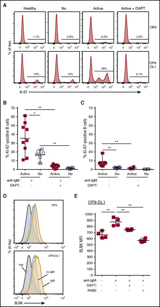 Figure 1. NOTCH2 ligation heightens ex vivo active cGVHD B-cell responses to minimal BCR engagement by surrogate antigen. B cells were magnetically purified to >95% from viably frozen PBMCs from HCT patients who at the time of sample collection had active cGVHD (Active; n = 9) or no cGVHD (No; n = 6). After plating B cells onto OP9 stromal cell monolayers or OP9-DL1 cells that express the NOTCH ligand DLL1, cultures were either treated with the γ-secretase inhibitor DAPT (10 μM in DMSO) to block Notch activation, or with DMSO alone. After 30 minutes, agonistic anti-IgM Ab was added to the appropriate wells at a concentration of 0.625 μg/mL. The cells were cultured for 72 hours, harvested, and flow cytometry analysis performed to assess Ki-67 expression. (A) Representative flow cytometry histograms for Ki-67 expression are shown for healthy donor (Healthy), no cGVHD (No), or active cGVHD (Active) donor B cells cultured in the presence of 0.625 μg/mL anti-IgM and plated on OP9 parental cells (top panels) or OP9-DL1 cells (bottom panels). The effect of DAPT treatment on active cGVHD B cells is also shown (right panels). (B-C) Frequency of Ki-67+ B cells for all patients assessed in each group where the B cells were stimulated with 0.625 μg/mL anti-IgM (B) or were not stimulated through the BCR (C). P values were determined using a nonpaired Student t test for intergroup comparisons, and paired Student t test for same group comparisons. (D) Representative flow cytometry histograms showing BLNK expression as assessed by intracellular flow cytometry in B cells from active cGVHD patients stimulated as described for panel A, with plating on OP9 cells or OP9-DL1 cells. (E) Median fluorescence intensity (MFI) expression for BLNK in B cells from n = 4 active cGVHD patients stimulated as described for panel A and cultured on OP9-DL1 cells. In some cultures, DAPT (10 μM) was added to inhibit NOTCH activation, or R406 (0.1 μM) was added to inhibit SYK. DMSO alone used as the vehicle control in parallel. P values were determined using a paired Student t test.