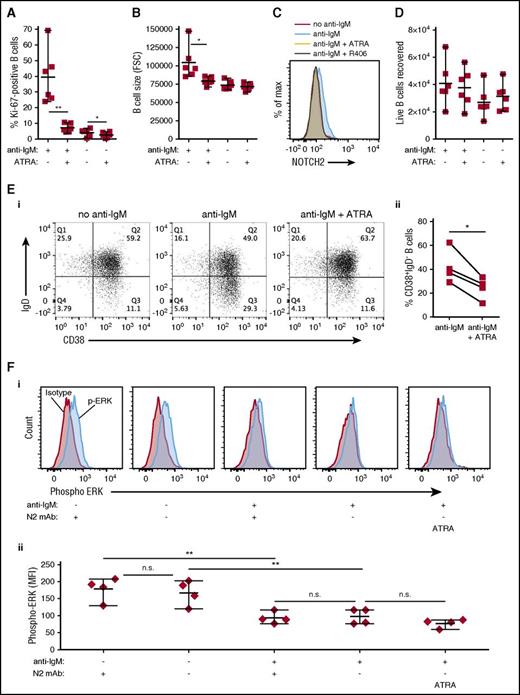 Figure 6. ATRA suppresses NOTCH2-BCR hyperresponsiveness of B cells from active cGVHD patients. (A-D) B cells from HCT patients with active cGVHD (n = 6) were plated in medium on monolayers of OP9-DL1 feeder cells and exposed to ATRA (0.1 μM) or vehicle alone. Following an initial culture period of 30 minutes, agonistic anti-IgM Ab was then added to the appropriate wells at a final concentration of 0.625 μg/mL. The cells were cultured for 72 hours, harvested, and flow cytometry analysis performed to assess B-cell Ki-67 expression (A), FSC as a measure of relative cell size (B), cell-surface NOTCH2 expression (C), and number of live cells (D). (E-F) B cells from HCT patients with active cGVHD (n = 4) were plated in medium on monolayers of OP9-DL1 feeder cells and exposed to ATRA (0.1 μM), vehicle alone, anti-N2 mAb, or isotype control mAb. Following an initial culture period of 30 minutes, agonistic anti-IgM Ab was then added to the appropriate wells at a final concentration of 0.625 μg/mL. The cells were cultured for 72 hours, harvested, and flow cytometry analysis performed to assess B-cell surface proteins (E) and intracellular ERK1/2 protein phosphorylation (F). (E) Panel i shows representative dot plots from 1 patient for the treatments indicated; panel ii shows the frequency of CD38+IgD− B cells from all 4 patients under the indicated culture conditions. (F) Panel i shows representative histograms from 1 patient for the treatments indicated; panel ii shows phospho-ERK MFI levels in B cells from all 4 patients under the indicated culture conditions. P values were determined using a paired Student t test. n.s., not significant.