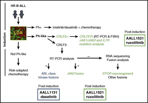 Figure 5. Current Ph-like ALL genetic testing algorithm used by the Children's Oncology Group. Diagnostic leukemia cells from children with high risk B-ALL are first screened for the Ph-like ALL gene expression signature using an 8-gene low density microarray (LDA) that includes CRLF2 as one of the 8 assessed genes.51 Specimens with the Ph-like ALL signature that lack BCR-ABL1 fusion (Ph+ ALL) undergo additional genetic testing. Those with high CRLF2 expression are assessed for P2RY8-CRLF2 and IGH-CRLF2 rearrangements by RT-PCR and FISH, respectively, and for JAK1, JAK2 and IL7R mutations by PCR. Ph-like ALL specimens without CRLF2 overexpression undergo multiplex RT-PCR fusion testing to detect ABL-class, JAK2, and EPOR rearrangements. Not all Ph-like fusions will be detected by this algorithm. Complete assessment may require alternative assays for identification, such as RNA-sequencing or unbiased fusion testing capable of identifying new 5′ partners. HR B-ALL, high-risk B-ALL.