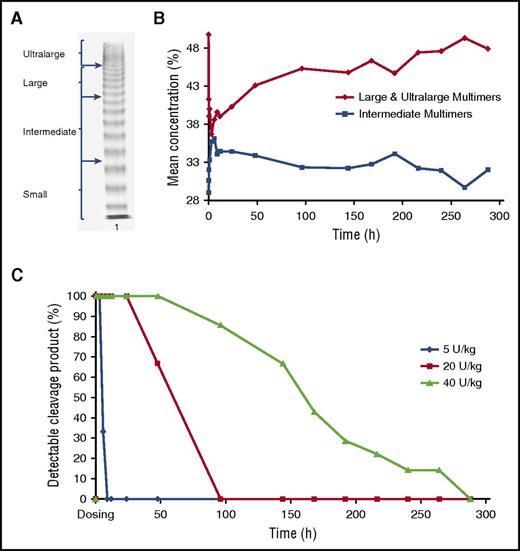 Figure 3. VWF structural analyses pre- and postinfusion of BAX 930. (A) Representative sodium dodecyl sulfate-agarose gel pattern of pretreatment TTP plasma depicting UL, large, intermediate, and small VWF multimers. (B) The proportions of intermediate and large/UL multimers of plasma VWF were estimated from sodium dodecyl sulfate-agarose gels at various times before and after infusion of 40 U/kg BAX 930. The observed concentration of large and UL multimers tended to decrease in all treated patients in the first 12 hours before gradually returning to preinfusion levels. (C) Time course of the 176-kDa ADAMTS-13 VWF cleavage product after administration of 5, 20, and 40 U/kg BAX 930. High levels of detectable VWF cleavage products are apparent just after dosing, which gradually return to preinfusion levels in a dose-related manner.