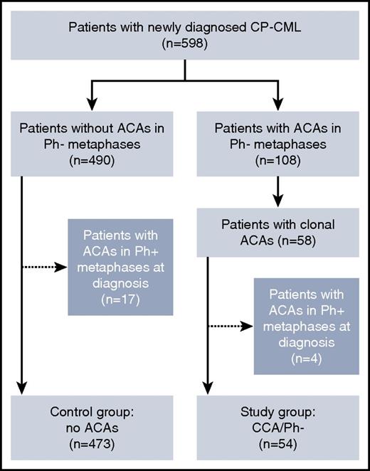 Figure 1. Flowchart outlining the selection of cases in this study. ACAs, additional chromosomal abnormalities.