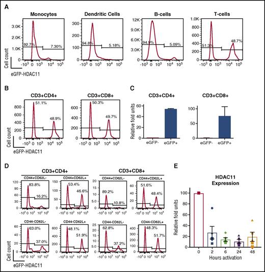 Figure 1. HDAC11 expression is downregulated in activated cells and Teff. (A) Utilizing EGFP-HDAC11 reporter mice, EGFP expression was assessed by flow cytometry in various immune cells. (B) Expression of EGFP-HDAC11 was further assessed in CD4+ (left panel) and CD8+ (right panel) T cells obtained from the lymph nodes. Plots shown are representative of 3 mice assessed in 3 independent experiments. (C) EGFP expressing and nonexpression cells were flow sorted and analyzed by qRT-PCR for expression of HDAC11 mRNA. Error bars are from 3 technical replicates per group. (D) Expression of EGFP was evaluated by flow cytometry in CD4+ and CD8+ T-cell subsets defined by CD44 and CD62L expression. Plots shown are representative of 3 mice assessed in 3 independent experiments. (E) WT CD3+ T cells isolated from mouse lymph nodes were left unstimulated or activated by αCD3/CD28 beads for indicated times and assessed by qRT-PCR for HDAC11 mRNA expression. Combined results from 5 mice, each represented with a unique symbol, assessed over 2 independent experiments are shown. P values of baseline vs activation comparisons are as follows: 2 hours: P < .05; 6 hours: P < .001; 24 hours: P < .01; 48 hours: P < .05.