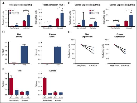 Figure 3. HDAC11 regulates the expression of Eomes and Tbet. (A) CD4+ and CD8+ T cells isolated from WT (black bars) or HDAC11KO (white bars) mice were left unstimulated or activated for 6 hours with αCD3/CD28–conjugated beads. Expression of Tbet mRNA was assessed by qRT-PCR. (B) Expression of Eomes was likewise assessed. Results shown are for 3 mice per group and are representative of 4 independent experiments. Error bars are ± SEM. (C) CD3+ T cells isolated from WT (black bars) and HDAC11KO (white bars) mice were chromatin immunoprecipitated for pan-acetylated histone 3. Pull-down at the Eomes and Tbet promoters was assessed by qRT-PCR and calculated as percent of IgG input. Values shown are representative of 2 independent experiments of 3 pooled mice. Error bars are SEM for 3 technical replicates. (D) CD3+ T cells isolated from 3 healthy human donors in 2 separate experiments were transfected by electroporation with an empty vector or HDAC11 overexpression plasmid. Cells were allowed to rest overnight and were then activated with αCD3/CD28–conjugated beads for 6 hours, at which time cells were lysed and expression of Tbet and Eomes was determined by qRT-PCR. Empty vector expression values were normalized to 100, and donor-matched overexpressing T-cell expression was graphed as relative fold units. (E) WT and HDAC11KO T cells were left unstimulated or activated via PMA and ionomycin for 1 hour and then chromatin immunoprecipitated for HDAC11. Pull-down was assessed by qRT-PCR and calculated as percent of IgG input. Values shown are representative of 2 independent experiments. Error bars show SEM for technical replicates. *P < .05; **P < .01. OE, overexpression.