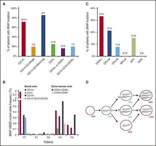 Figure 1. The BRAFV600E mutation is detectable in mature and immature hematopoietic cells from patients with histiocytosis. (A) Percentage of patients for whom BRAFV600E mutation was detected in mature PB cells. (B) BRAFV600E mutant allele frequency in fluorescence-activated cell sorting–purified cells from the BM or PB of 5 histiocytosis patients. ND indicates populations not studied. Patient numbering per supplemental Table 1. (C) Percentage of patients for whom the BRAFV600E mutation was detected in CD34+ BM cells or in CD34-derived CFU-M, CFU-G, BFU-E, and plasmacytoid DCs (pDC) or mDCs. (D) BRAFV600E, TET2L1819X, and SRSF2L95P status of 20 colonies derived from single CD34+ BM cells of a patient with BRAFV600E-mutant MH (#P10). The results suggest that histiocytosis and AMML cells of this patient derived from a common TET2-mutated HSPC. In panels A and C, each denominator indicates the total number of patients for whom results were obtained.