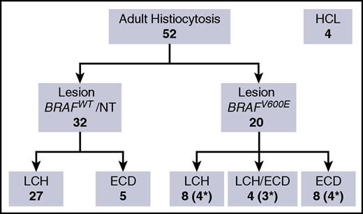 Figure 1. Patients. Summary of adult patients included in the study. Asterisks indicate the number of patients with BRAFV600E detectable in PBMCs. The BRAF wild-type (WT) ECD group includes 1 patient with RAS mutation. NT, not tested.