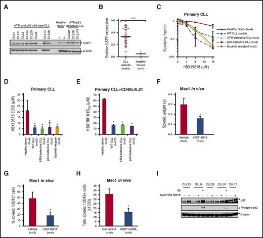 Figure 1. USP7 is overexpressed in CLL and can be targeted with HBX19818 without activating p53 phosphorylation. Immunoblotting (A) and densitometry (B) quantification of primary CLL and healthy donor PBMCs demonstrate overexpression of USP7 in CLL samples. USP7 expression was normalized to β-actin. (C) HBX19818 dose responses of quiescent primary CLL cells and healthy donor PBMCs and the resultant 50% effective concentration (EC50) for quiescent (D) and proliferating (E) healthy donor and primary CLL cells after 72-hour treatment. HBX19818 treatment of a chemotherapy-resistant Mec1 CLL xenograft model led to reduction of splenic weight (F) and splenic tumor engraftment (G). (H) Xenotransplantation of confirmed USP7 knockdown Mec1 cells by siRNA transfection also led to reduced splenic engraftment. (I) In a panel of 5 wild-type (WT) CLLs, 6-hour HBX19818 treatment stabilized p53 but did not induce its phosphorylation. As a positive control for p53 phosphorylation, CLL9 and CLL57 were treated with 5-Gy ionising radiation (IR). Data were compared using a 2-tailed Student t test, and statistical significance denoted by: *P ≤ .05, ***P ≤ .001. siRNA, small interfering RNA.