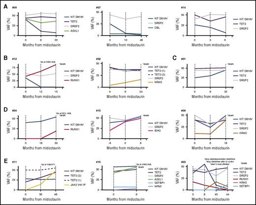 Figure 4. Schematic presentation of the VAF changes of KIT D816V and additional mutations in 12 patients during treatment with midostaurin. Five clusters were identified (A-E): (A) Significant reduction of KIT D816V but without significant VAF changes of the additional mutations. All patients were maintained on midostaurin. (B) Significant reduction of KIT D816V but expansion of RUNX1 (#12) or NRAS (#02) with subsequent disease progression and death (in #12 after progression into secondary acute myeloid leukemia). (C) Significant increase of KIT D816V but stable VAF of additional mutations with subsequent disease progression and death. (D) Significant increase of KIT D816V in combination with increase of VAF of additional mutations (RUNX1, #04; IDH2, #13; KRAS, #06) followed by disease progression and rapid death. Patient #04 progressed into sMCL and then sAML. (E) Acquisition of new mutations (JAK2 V617F, #11; NMP1, #15; KRAS/SETBP1, #03) with disease progression into ASM and associated polycythemia vera (ASM-PV, #11) or ASM-AML (#15) followed by death (#15, #03). Patient #11 with transfusion-dependent anemia at baseline became transfusion-independent. *, Clinical end points, including type of secondary neoplasm observed at the time of progression and death. dx, diagnosis.