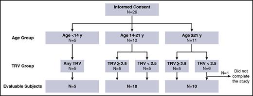 Figure 1. Study design. Scheme of study enrollment, grouping, and final evaluable participants.