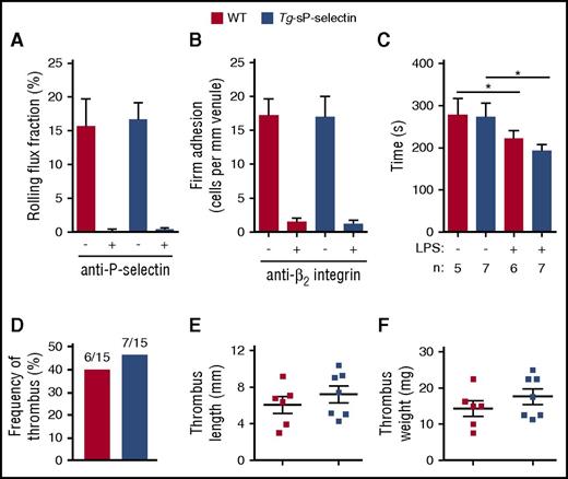 Figure 7. Chronic elevation of circulating sP-selectin does not promote inflammation and coagulation. (A-B) Number of rolling cells and arrested cells in trauma-stimulated venules of WT or Tg-sP-selectin mice in the presence or absence of blocking anti-P-selectin mAb or anti-β2 integrin mAb. (C) Plasma-clotting times of WT or Tg-sP-selectin mice without challenge or 4 hours after intraperitoneal injection of lipopolysaccharide (LPS). (D-F) Frequency of thrombus, thrombus length, and thrombus weight in WT or Tg-sP-selectin mice 48 hours after ligation of inferior vena cava. The data in panels A and B represent the mean ± SEM from 11 to 15 venules from 5 to 6 mice in each group. The data in panels D-F represent the mean ± SEM from 15 experiments in each group. *P < .05.