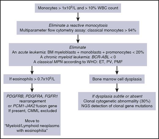 Figure 1. Our diagnostic workup for CMML diagnosis. ET, essential thrombocytosis; NGS, next-generation sequencing; PV, polycythemia vera; PMF, primary myelofibrosis.