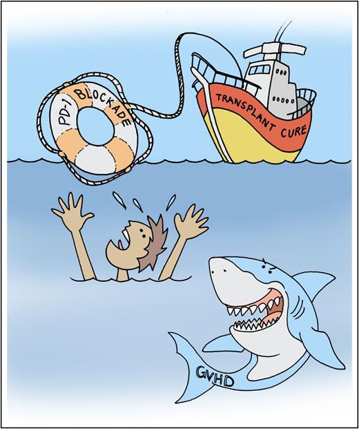 PD-1 blockade for progressive cHL after allo-HCT may rescue patients. The high risk of severe untreatable GVHD must be tamed before curative prospects can be realized in most patients. Professional illustration by Patrick Lane, ScEYEnce Studios.