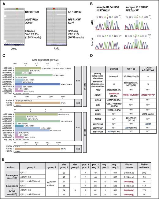 Figure 1. H3K27M and H3K27I mutations occur in human AML with RUNX1 alterations. (A) Discovery of histone H3 mutations in RNA sequencing (RNAseq) of primary AML. Variant allele frequencies (VAFs) and RNAseq coverage (variant/total reads) are provided for sequenced AML samples with H3K27 mutations (2 of 415 investigated specimens). (B) Validation of H3 mutation status. Genomic DNA from AML cells (top) and buccal swaps (bottom) was amplified using gene-specific primers and subjected to Sanger sequencing. Mutated nucleotides are boxed in red. (C) H3 variant expression varies based on the mutated H3 gene family member. Gene expression values of H3.1 and H3.3 genes in the 2 H3K27-mutant AML specimens are plotted. In patient 04H138 (top panels), the HIST1H3HK27M variant is present on the highest expressed H3 (27.6% of all H3.1 genes, 0.31% of all H3.1 and H3.3 genes; highlighted in bold). In patient 12H183 (bottom panels), expression of the HIST1H3F gene constitutes 4.4% of total canonical H3 and 0.10% of total H3 gene expression. (D) Summary of mutational contexts of H3K27-mutant AML samples. Note that all specimens with H3K27 mutations (in blue) have aberrations in the RUNX1 gene (highlighted in red). (E) Statistical analysis (Fisher’s exact test) of coassociations between H3K27 mutations and RUNX1 anomalies in the Leucegene or combined Leucegene and The Cancer Genome Atlas (TCGA) cohorts. Inf, infinite; na, not applicable; n.s., not significant; RPKM, reads per kilobase million.