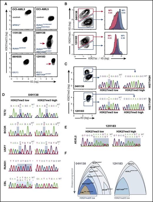 Figure 2. H3K27 mutations are associated with globally reduced H3K27me2/3 and are subclonal. (A) H3K27me2/3 levels in AML cell lines and patient specimens. Cell lines were ethanol fixed and stained with H3K27me2/3 and pan-H3–specific primary antibodies and anti-mouse Alexa-647/anti-rabbit Alexa-350 secondary antibodies. Cell line and patient identifier in addition to the relevant genotype information are provided in each panel. Approximately 10-fold less H3K27me2/3 is detected in a subclonal population in patient 04H138 (red arrow), and a population with reduced H3K27me2/3 is detected in a subclonal population in patient 12H183 (red arrow). (B) Increased H3K27ac in H3K27me3-low AML subpopulations. Cells were treated as in panel A and costained for pan-H3 (BV421), H3K27me3 (Alexa647), and H3K27ac (PE). H3K27me3 and H3K27ac signals were normalized against H3 signals (derived parameters; Flowjo) and plotted and gated as indicated. (C) H3K27 mutations are restricted to H3K27me2/3-low subpopulations in primary AML specimens. Cells were treated and stained as in panel B. H3K27me3-high and -low populations were FACS sorted as indicated and subjected to Sanger sequencing of PCR-amplified mutated genomic DNA regions. Detected mutation sites are shaded in light blue. In both cases, the H3K27-mutant alleles were exclusively present in the H3K27me3-low fractions. (D) Distribution of the remaining mutations in the H3K27me3-high and -low subfractions of patient 04H138. Genomic DNA from panel C was used to determine the relative distribution of mutations in the H3K27me3-defined subpopulations. Mutated regions are highlighted in light blue. (E) Distribution of the ASXL2 mutation in the H3K27me3-high and -low subfractions of patient 12H183. (F) Depictions of proposed subclonal compositions and their possible evolutionary trajectories. Suggested initiating lesions are positioned at the top, followed by mutations in their suspected order of appearance. Relative sizes of subclones are assigned based on the detected frequencies of H3K27me3-low and -high subpopulations shown in panels D and E. MFI, mean fluorescence intensity.