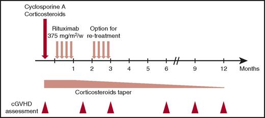 Figure 1. Trial schema.
