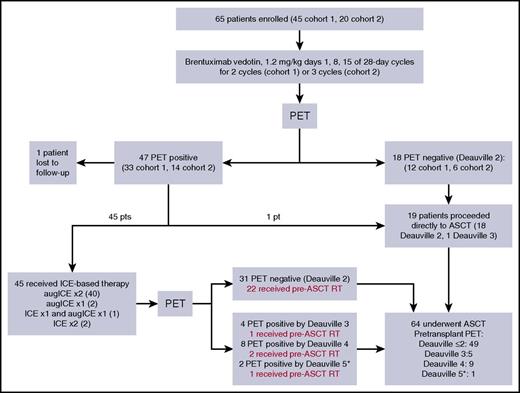 Figure 1. Treatment pathway. (*) None of the Deauville 5 patients had new SUV-avid lesions.