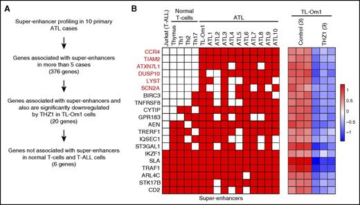 Figure 5. Genes associated with super-enhancers and sensitive to THZ1 in ATL cells. (A) Schematic of the selection criteria. (B) Super-enhancer status at 20 gene loci in Jurkat, normal T cells (thymus, Th1, Th2, and Th17), and ATL cells (TL-Om1 and 10 primary ATL samples) (left). Super-enhancers are shown in red. A heat map represents the relative expression levels of the 20 genes after THZ1 treatment in TL-Om1 cells (right). Each row corresponds to a gene.