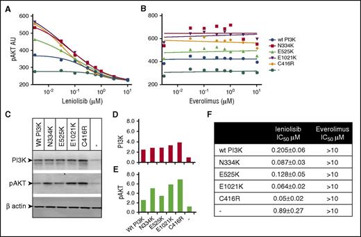 Figure 1. PIK3CD mutant transfectants treated with leniolisib or an mTOR inhibitor. Rat-1 fibroblasts were transfected with human WT (wt PI3K) p110δ or p110δ carrying published APDS mutations N334K, E525K, E1021K, and C416R. The pAKT(S473) levels in the presence of titrated concentrations of leniolisib (A) and the mTOR inhibitor everolimus (B) are shown as individual data points with interpolated data for leniolisib and linear regression for everolimus. (C) Western blot for PI3K, pAKT, and β-actin as loading control. (D-E) Quantification of the western blot from panel C. Arbitrary units of scanning density for PI3K or pAKT were calibrated for loading control by division with the corresponding scanning density of β-actin. Average variation over 6 independent experiments is <5% pAKT arbitrary units (AU) for mutant and wt PI3K. (F) Fifty percent inhibitory concentration (IC50) values with SD derived from 6 independent experiments.