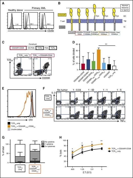 Figure 4. Coexpression of CD200R-CD28 enhances function in WT1-specific TCR-transduced human primary T cells. (A) Expression of CD200 on CD45dimCD34+ cells (black lines) from a healthy donor leukapheresis sample (left panel) or leukemic blasts from 2 separate donors (center and right panels) in relation to matched FMO control (gray shaded). (B) Schematic representation of CD200R-CD28 constructs. CD200Rtm-CD28 contains CD200R ec and tm domains and a CD28 ic signaling domain. CD200R-CD28tm contains the ec domain of CD200R and the tm and ic domains of CD28. The remaining 3 constructs also incorporate 12 aas of the ec domain of CD28 to the tm-proximal cysteine to promote multimerization and enhance CD28 signaling. To account for the extra CD28 residues, CD200R-9aas-CD28cys has a truncated portion of CD200R that removes the 9-aa membrane-proximal stem region, and CD200R-12aas-CD28cys has a truncated portion of CD200R that removes 12 membrane-proximal residues that include additional amino acids beyond the stem region. The first, second, and fifth constructs are predicted to approximate the spatial distance between the T cell and an APC, as indicated by the dashed line. (C-H) CD8+ T cells were enriched by magnetic beads from PBMCs harvested from healthy HLA-A2+ donors. CD8+ T cells were stimulated with anti-CD3/CD28 Dynabeads and transduced with lentiviral supernatant for 2 days. Transduced T cells were isolated by fluorescence-activated cell sorting and restimulated by rapid expansion protocol every 10 to 14 days in the presence of IL-2. (C) Diagram of construct combining IFP, TCRα, and TCRβ chains. The IFP constructs were inserted into single lentiviral vectors with the β and α chains of the HLA-A2–restricted WT1126-specific TCRC4. The first P2A sequence was codon optimized (CO P2A) to prevent genetic recombination with the second P2A sequence (P2A). Flow cytometry plots show expression of TCRC4 only (left plot) or TCRC4 + CD200R-CD28 (right plot) in primary human T cells as detected by anti-CD200R antibody and WT1126 HLA-A2 tetramer binding. (D) Proliferation of T cells as detected by dilution of CTV. Primary human T cells transduced with TCRC4 or TCRC4 and CD200R IFP were stained with CTV and stimulated with WT1126-pulsed T2 cells at an E:T ratio of 25:1 in the absence of IL-2 for 6 days. The percentage of cells that diluted CTV (proliferated) was determined by FlowJo proliferation analysis. Cumulative of 3 independent T-cell donors (**P < .01). (E) Representative histogram of CTV dilution in unstimulated (gray filled), TCRC4-transduced (black line), or TCRC4- and CD200R-9aas-CD28cys-transduced (orange line) T cells. (F) Intracellular cytokine production of CD8+ T cells. Primary human T cells transduced with TCRC4 only (upper panels) or TCRC4 and CD200R-9aas-CD28cys-transduced (lower panels) were unstimulated or stimulated with WT1126-pulsed T2 cells for 6 hours in the presence of GolgiPlug (BD Biosciences). T cells were fixed, permeabilized, and stained for ic cytokines and assessed by flow cytometry. (G) Summary of cytokine production in panel F (E:T ratio, 1:1). Data are presented as no cytokine (white), 1 cytokine (light gray), or 2+ cytokine (dark gray) production; cumulative results of 3 independent T-cell donors. (H) Cytotoxicity assay. Primary AML blasts were cocultured with primary human T cells transduced with TCRC4 alone (black symbols) or TCRC4 and the CD200R-9aas-CD28cys IFP (orange symbols) for 24 hours. Remaining viable blasts were quantified by flow cytometry and the percentage of lysis was determined after normalization with the tumor-only control well (assayed in triplicate; *P < .05, **P < .01).