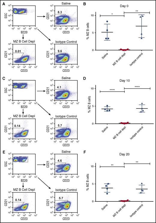Figure 2. Depletion of MZ B cells in mice with hemophilia A. Where indicated, mice with hemophilia A received MZ B-cell–depleting antibodies at days −4, −2, +10, and +20. Splenocytes from representative mice were then evaluated by flow cytometry to determine successful depletion. Representative flow plots of B220+CD21hiCD23lo/− cells following injection of saline, MZ B-cell–depleting antibody (MZ B cell depl), or isotype control antibody at days 0 (A), +10 (C), and +20 (E). Quantitative analysis of B220+CD21hiCD23lo/− cells (% MZ B cells) following administration of saline, MZ B-cell–depleting antibody (MZ B cell depl), or isotype control antibody at days 0 (B), +10 (D), and +20 (F). Error bars indicate standard deviation (SD). Horizontal lines represent mean of each group. *P < .03, **P < .003, ****P < .0001, 1-way ANOVA, post hoc Tukey test. SSC, side scatter.