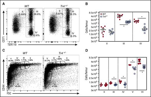 Figure 2. Adult Tr4 heterozygous mutant mice exhibit impaired erythropoiesis. (A) Flow cytometric analysis of bone marrow cells recovered from 6- to 8-week-old WT and Tr4+/− femurs stained with α-CD71 and α-TER119 antibodies. The percentage of cells within each gate is indicated on the flow plots. (B) The absolute number of cells within each gate was quantified in WT (closed circles) and Tr4+/− (open circles) mice at each stage (II, III, and IV) of CD71/TER119-monitored erythroid differentiation.32,33 (C) Flow cytometric analysis of total bone marrow cells from 6- to 8-week-old WT and Tr4+/− femurs stained with α-CD44 vs FSC as another indication of erythroid differentiation (II-VI).58 The percent of cells within each gate is shown on a representative flow plot. (D) The absolute number of cells in each gate. *P ≤ .05 as determined by Student t test comparing Tr4 heterozygous mutant with WT bone marrow cells.