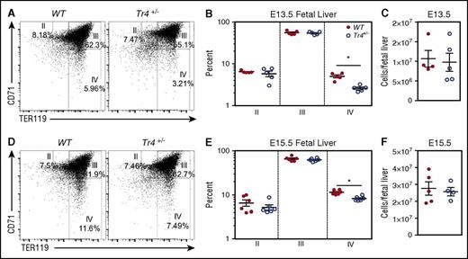 Figure 3. Impaired erythroid differentiation in Tr4 heterozygous mutant fetal liver cells. Representative flow cytometry diagrams of fetal liver cells recovered from WT and Tr4+/− embryos at (A) E13.5 and (D) E15.5, stained with α-CD71 and α-TER119 antibodies. The percentage of cells within each gate (II-IV) is indicated on the plots. (B,E) Graph reporting the percentage of cells within each gate describing erythroid differentiation (II-IV) in (B) E13.5 (E) and E15.5 in WT (closed circles) and Tr4+/− (open circles) fetal liver cells.32,33 (C,F) Total cells per fetal liver were calculated for WT and Tr4+/− mice. *P ≤ .05 as determined by Student t test comparing Tr4+/− with WT.