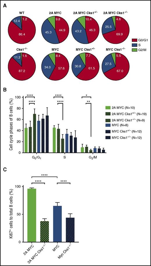 Figure 3. Cks1 deficiency inhibits pretumor B-cell proliferation in LMP2A/λ-MYC mice. The effects of Cks1 status on the cell cycle phases of purified splenic pretumor B cells from 4-week-old mice are indicated in (A) pie charts and (B) column graphs. (C) The percentages of Ki-67–positive cells in purified splenic pretumor B cells. Data were calculated by 1-way ANOVA with post hoc multiple comparison tests. The statistical differences of Cks1 knockouts against their controls are indicated with thick lines. Data represent the mean ± standard deviation. *P < .05, **P < .01, ***P < .001, and ****P < .0001.