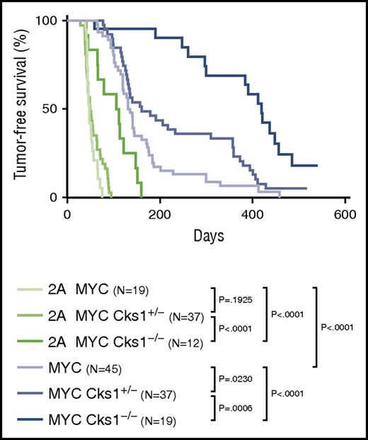 Figure 5. Cks1 knockout results in the delay of tumor onset in both LMP2A/λ-MYC and λ-MYC mice. Kaplan-Meier curves indicating the percentage of tumor-free survival of indicated genotypes. P values were calculated by comparing 2 genotypes by log-rank (Mantel-Cox) test.