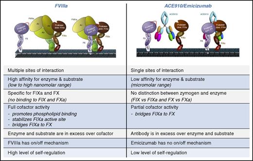 Figure 1. Schematic representation of how FVIIIa and ACE910/emicizumab promote FXa generation. Comparison of the various differences in the interactions with enzyme and substrate between FVIIIa and ACE910/emicizumab. In the left panel, FVIIIa is bound to the phospholipid surface only by its C2 domain.53,54 Other models predict that also the C1 domain may contribute directly to phospholipid binding (eg, see Meems et al55).