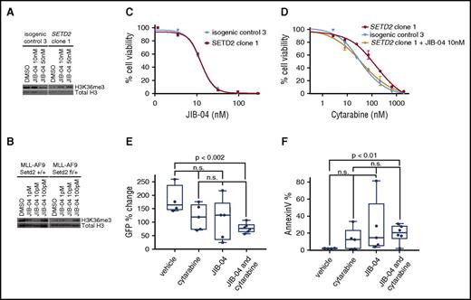 Figure 4. KDM4 inhibition increases sensitivity to cytarabine in Setd2-mutant leukemia cells. (A) MOLM-13 isogenic control 3 or SETD2 clone 1 were treated with JIB-04 or DMSO and western blotted for H3K36me3. (B) MLL-AF9 Setd2+/+ or Setd2fl/+ Mx1-cre cells were treated with JIB-04 or DMSO and western blotted for H3K36me3. (C) Cell titer Glo was used to determine the percentage of cell viability after 72 hours of JIB-04 for MOLM-13 isogenic control 3 or SETD2 clone 1. (D) Cell titer Glo was used to determine the percentage of cell viability after 72 hours of cytarabine for MOLM-13 isogenic control 3 or SETD2 clone 1, with or without JIB-04 (10 nM). (E) Mice with secondary MLL-AF9 Setd2fl/+ Mx1-cre leukemia received a single dose of vehicle (n = 4), cytarabine (n = 5), JIB-04 (n = 5), and cytarabine with JIB-04 (n = 6) when their PB GFP was ∼40% and were rebled 12 to 16 hours later to determine the reduction in cell number, expressed as a percentage of pretreatment GFP, or (F) stained with AnnexinV to determine the amount of apoptosis after treatment.