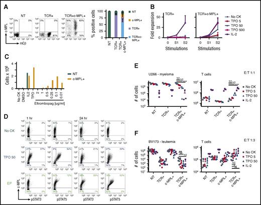 Figure 2. c-MPL is functional in survivin-specific TCR-transgenic T cells and enhances antitumor function in vitro. (A) Transduction efficiencies of CD8+ activated T cells with survivin-TCR alone (murine constant β chain, mCβ) or in combination with c-MPL. Representative FACS plots (left) and summary (right), n = 13; mean ± SD. (B) TCR+c-MPL+ T cells expand upon stimulation with survivin peptide pulsed artificial antigen-presenting cells in a TPO dose-responsive manner (right). TCR+ T cells only expand in IL-2, but not high-dose TPO (left, n = 6), except for noCK condition (n = 3; mean ± SD). TCR+ T cells at end S2: noCK vs IL-2, P = .003; noCK vs TPO500, P = NS. TCR+c-MPL+ T cells at end S2: noCK vs IL-2, P < .001; noCK vs TPO5, P = NS; noCK vs TPO50, P = .02; noCK vs TPO500, P < .001; IL-2 vs TPO500, P = NS; Student t test. (C) c-MPL+ T cells expand in eltrombopag in a dose-responsive manner during activation with OKT3 and CD28 antibodies, NT T cells only expand in IL-2 50 U/mL, analyzed on day 7. One representative of 3 donors. (D) c-MPL ligand (TPO or EP) induced phosphorylation of STAT3 and STAT5 at 1 hour (left) and 24 hours (right). (E) Coculture of expanded NT, TCR+, or TCR+c-MPL+ T cells with U266 myeloma cells (HLA-A*0201+survivin+) in noCK (gray circles), TPO 5 ng/mL (red squares), TPO 50 ng/mL (blue triangles), or IL-2 25 U/mL (purple squares); effector:target ratio, E:T 1:1. Residual U266 cells (left) and T cells (right) were quantified by FACS on day 5; n = 3; mean ± SD. (F) Coculture with BV173 leukemia cells (HLA-A*0201+survivin+), E:T 1:3. Residual BV173 cells (left) and T cells (right) were quantified by FACS on day 5; n = 7 for noCK, TPO5, and TPO50; n = 3 for IL-2; mean ± SD. (E, F) *P < .05, **P < .01, ***P < .001, Student t test on log transformed data. NS, not significant.