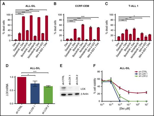 Figure 3. Pharmacological inhibition and specific gene silencing of LCK increases Dex-induced cell death in PPR T-ALL cells. (A-C) ALL-SIL, CCRF-CEM, and TALL-1 cells treated with Dex, dasatinib, bosutinib, nintedanib, and WH-4-023, alone or in combination. ALL-SIL cells were treated with Dex (0.1 μM), dasatinib (0.5 nM), bosutinib (20 nM), nintedanib (0.6 μM), or WH-4-023 (1.25 μM); CCRF-CEM cells were treated with Dex (0.1 μM), dasatinib (10 μM), bosutinib (6.25 μM), nintedanib (5 μM), or WH-4-023 (5 μM); T-ALL1 cells were treated with Dex (60 nM), dasatinib (25 μM), bosutinib (6.25 μM), nintedanib (12.5 μM), or WH-4-023 (6.25 μM). Cell mortality was determined by flow cytometry and annexin V/PI staining after 48 hr of treatment. The percentage of dead cells was established after normalizing cells on DMSO-treated cells. Paired t test; n = 3 for all experiments. Results are presented as means ± SEM. Dex and LCK inhibitor concentrations used in these experiments were selected on the basis of MTT test results, by choosing the ones most able to reduce cell viability in combination. (D) Inhibition of LCK mRNA expression in ALL-SIL cells after 48 hr with sh LCK 1 and sh LCK 2. LCK mRNA expression in control cells was arbitrarily set at 1. sh CTRL vs sh LCK 1, paired t test P = .016; sh CTRL vs sh LCK 2, paired t test P = .001; n = 3 for all experiments. Results are presented as means ± SEM. (E) Inhibition of LCK protein expression was examined by WB after 72 hr in control (sh CTRL) and silenced (sh LCK 1, sh LCK 2) ALL-SIL cells. (F) Cell viability after LCK silencing and 48 hr of Dex treatment in ALL-SIL cells was evaluated by MTT assay (n = 3). Results are presented as means ± SEM. *P < .05; **P < .01; ***P < .001.