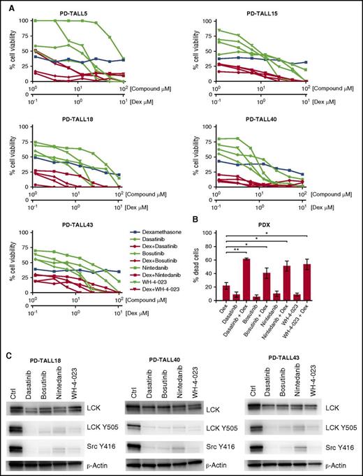 Figure 4. Treatment of PPR PDX cells with LCK inhibitors and Dex. (A) Primary cells from 5 different GC-resistant PDX were isolated from mice spleen and treated ex vivo for 48 hr with the indicated concentrations of drugs in the presence of Dex at the molar ratio of 10:1. Cell viability was determined by MTT assay. (B) Primary cells isolated from 3 different PPR PDX were treated with Dex (0.1 μM) and LCK inhibitors (1 μM) alone or in combination for 48 hr. Cell mortality was determined by flow cytometry and annexin V/PI staining. The percentage of dead cells was established after normalizing cells on DMSO-treated cells. Paired t test; *P < .05, **P < .01; n = 3 for all experiments. (C) WB analysis of LCK, LCK Y505, and Src Y416 in PPR PDX cells. Cells were treated with DMSO only (Ctrl), 10 μM of dasatinib, 5 μM of bosutinib, 10 μM of nintedanib, or 10 μM of WH-4-023 for 1 hr.
