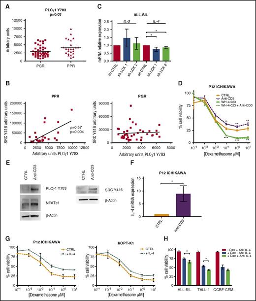 Figure 5. The calcineurin/NFAT pathway is more active in PPR patients than in PGR patients. (A) PLCγ1 is more phosphorylated in Y783 in PPR (n = 24; mean = 4134 ± 470.7) than in PGR (n = 41; mean = 2992 ± 253.4) T-ALL patients (Mann-Whitney t test, P = .03). Results are presented as means ± SD. (B) Positive correlation (Spearman’s ρ = 0.57, P = .004) between active Src Y416 and PLCγ1 Y783 in PPR patients (left). In PGR patients, Src Y416 and PLCγ1 Y783 are not correlated (right). (C) Expression analysis by quantitative reverse transcription polymerase chain reaction (qRT-PCR) of the NFAT target genes IL-2 and IL-4 after LCK gene silencing in ALL-SIL cells. IL-4 mRNA decreases after LCK silencing (n = 3; paired t test, P = .01). Results are presented as means ± SEM. (D-F) Rescue of LCK activity in GC-sensitive T-ALL cells. (D) P12-ICHIKAWA cell viability was determined by MTT test after treatment with Dex only (48 hr), with anti-CD3 (1 hr) followed by Dex (48 hr), with WH-4-023 (0.01 μM, 1 hr) followed by Dex (48 hr), and with WH-4-023 (0.01 μM, 1 hr) followed by anti-CD3 (1 hr) and by Dex (48 hr). Cell viability of control cells was set to 100%. Results are presented as means ± SEM (n = 3). Anti-CD3 stimulation induced GC resistance in comparison with DMSO only, whereas WH-4-023 pretreatment was able to completely abrogate the anti-CD3 effect (paired t test). (E) WB analysis shows the hyperactivation of Src at Y416, PLC-γ1 at Y783, and NFATc1 in P12-ICHIKAWA cells after anti-CD3 stimulation. (F) qRT-PCR analysis of IL-4 mRNA expression in P12-ICHIKAWA cells after 48 hr of stimulation with anti-CD3 (n = 3, paired t test, P = .04). Unstimulated cells were set at 1. Results are presented as means ± SEM. (G-H) IL-4 affects GC response in T-ALL cells. (G) Increased cell viability measured by MTT assay of P12-ICHIKAWA (right) and KOPT-K1 (left) cells treated or not (CTRL) for 16 hr with IL-4 followed by Dex for 48 hr (n = 3). Cell viability of control cells was set to 100%. Results are presented as means ± SEM. (H) The anti-IL-4-neutralizing antibody increases GC-induced cell death in PPR T-ALL cell lines. Cells were treated with 100 ng/mL of blocking antibody for 16 hr prior to Dex treatment (10 μM for ALL-SIL and 1 μM for TALL-1 and CCRF-CEM, for 48 hr), and cell viability was evaluated by MTT assay, at least in triplicate. Cell viability of control cells was set to 100%. Results are presented as means ± SEM. *P < .05; **P < .01; ***P < .001.