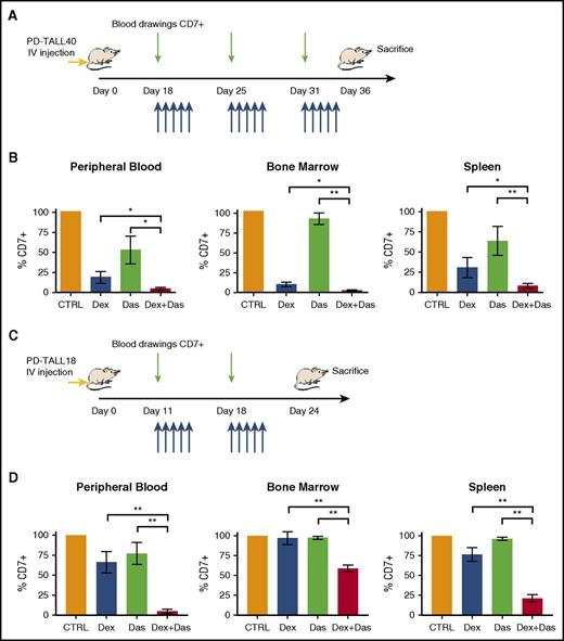 Figure 6. The pharmacological inhibition of LCK together with Dex treatment reduces T-ALL engraftment in GC-resistant PDX mice. (A) Outline of treatment with Dex and dasatinib alone and in combination, or control mice (vehicle). NSG mice (n = 6 per group) were treated intraperitoneally with Dex (5 mg/kg), by oral gavage with dasatinib (35 mg/kg), or by vehicle 18 days after IV injection of PD-TALL40 cells (5 × 106 cells/mouse). Compounds were subsequently administered daily for 3 weeks (blue arrows). Leukemia engraftment was tracked by serial blood drawings and flow cytometric analysis (green arrows). (B) Quantification of leukemia cells (CD7+) in the PB, BM, and spleen at sacrifice (day 36 from injection) by flow cytometry and human CD7 staining. Mann-Whitney t test. The average percentage of CD7+ cells in control mice was set to 100%. Results are presented as means ± SEM. (C) Outline of treatment, as described in panel A, 11 days after IV injection of PD-TALL18 cells (5 × 106 cells/mouse). Compounds were subsequently administered daily for 2 weeks (blue arrows). Leukemia engraftment was tracked by serial blood drawings and flow cytometric analysis (green arrows). (D) Quantification of leukemia cells (CD7+) in the PB, BM, and spleen at sacrifice (day 24 from injection) by flow cytometry and human CD7 staining. Mann-Whitney t test. The average percentage of CD7+ cells in control mice was set to 100%. Results are presented as means ± SEM. CIs are 0.6 (PB), 0.14 (BM), and 0.34 (spleen). *P < .05; **P < .01.