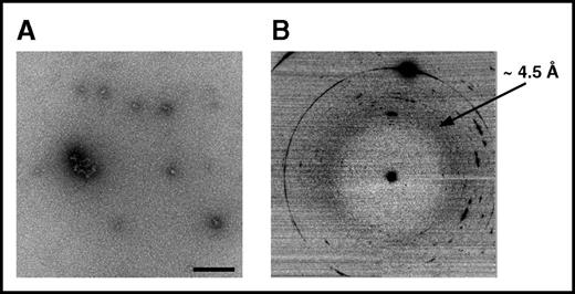 Figure 5. Structural characteristics of AFFDTASTGKTFPGFFSPMLGELSVRLSLGAQNLASSQIQRNP_G assemblies. (A) The morphological features of aggregates. Note that these aggregates are spherical and do not form fibrillar structures, in contrast to amyloid fibrils formed by AFFDTASTGKTFPGFFSPMLGELSVRLSLGAQNLASSQIQRNPVLITLG (Figure 4B). (B) XRD did not reveal a cross-β microdiffraction pattern, demonstrating that the aggregates are not amyloid.