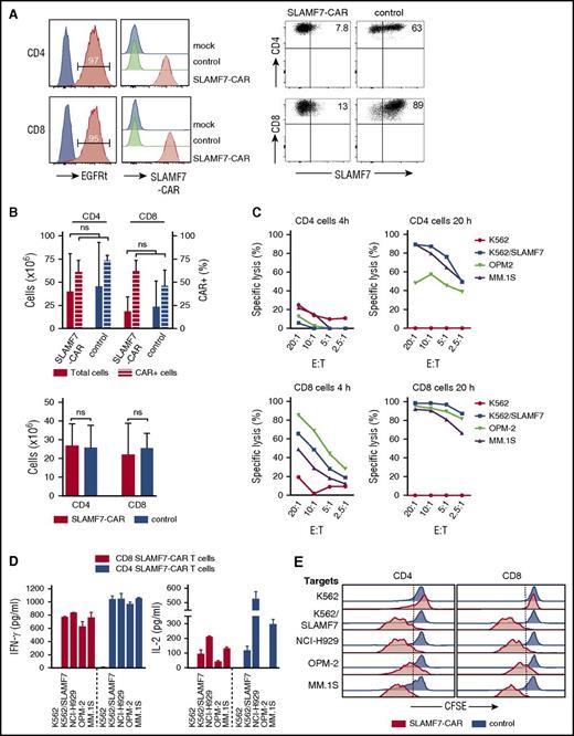 Figure 1. Phenotype and antimyeloma function of SLAMF7-CAR T cells in vitro. (A) Staining with anti–epidermal growth factor receptor antibody to detect the EGFRt transduction marker on CD8+ and CD4+ SLAMF7-CAR T cells (red). Untransduced T cells were used as controls (blue, left histograms). Staining with SLAMF7 protein to detect the SLAMF7-CAR on SLAMF7-CAR T cells. CD19-CAR T cells (control) and untransduced T cells (mock) were used as references (right histograms). Expression of SLAMF7 on SLAMF7-CAR and CD19-CAR (control) T cells (dot plots). (B) Expansion of CD4+ and CD8+ T cells after anti-CD3/anti-CD28 bead stimulation and lentiviral transduction with SLAMF7-CAR and CD19-CAR as control (upper bar diagram). The left y-axis shows the absolute number of T cells, and the right y-axis shows the percentage of CAR-transduced (ie, EGFRt+) T cells obtained from 0.5 × 106 input T cells after 9 days of culture. The subsequent antigen-dependent expansion of SLAMF7-CAR and CD19-CAR (control) T cells after stimulation with irradiated feeder cells. The diagram shows the absolute number of T cells obtained from 1 × 106 input (EGFRt-enriched) T cells within 9 days of culture (lower bar diagram). The same SLAMF7+CD19+EBV-LCL feeder cells were used to stimulate SLAMF7-CAR and CD19-CAR (control) T cells. (C) Cytotoxic/cytolytic activity of CD4+ and CD8+ SLAMF7-CAR T cells within 4 and 20 hours of coculture, respectively, with myeloma cell lines. SLAMF7– native K562 cells were used as a negative control. K562 cells that had been transduced with SLAMF7 were used as a positive control (K562/SLAMF7). (D) Secretion of IFN-γ and IL-2 analyzed by enzyme-linked immunosorbent assay in supernatants obtained after a 20-hour coculture of effector and target cells. Assays were performed with 50 000 effector T cells and 10 000 target cells in 96-well round bottom plates with a volume of 200 μl. CD19-CAR–transduced CD4+ and CD8+ T cells were used as controls, did not produce cytokines above background, and are therefore not shown in the diagram. (E) Proliferation assessed by carboxyfluorescein diacetate succinimidyl ester dilution after a 72-hour coculture of effector and target cells. Assays were performed with 50 000 effector T cells and 10 000 irradiated target cells in 96-well plates with a volume of 200 μl without the addition of exogenous cytokines. Data in panels A-E are representative of the results obtained in independent experiments with CAR T cells prepared from 4 healthy donors. ns, not significant.