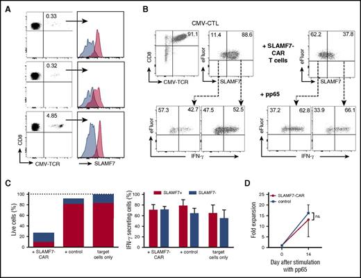 Figure 5. SLAMF7-mediated fratricide spares a fraction of functional CMV-specific CD8+ T cells. (A) SLAMF7 expression on primary CD8+CD45RA–CD45RO+ memory T cells specific for the CMV pp65 A2/NLV epitope in 3 HLA-A*02+ healthy donors. Overlay histograms show staining with anti-SLAMF7 mAb 162.1 (red) and isotype control (blue). (B) CMV-specific CD8+ T-cell lines (CMV-CTL) were prepared from CMV-specific memory T cells and the expression of SLAMF7 was analyzed (2 top left dot plots). CMV-CTL was labeled with eFluor670 and cocultured for 4 hours with autologous SLAMF7-CAR or control CD19-CAR T cells. The expression of SLAMF7 on residual live (ie, 7-ADD–) CMV-CTL was reanalyzed at the end of the coculture (top right dot plot). Residual live CMV-CTL was then stimulated with pp65 NLV peptide-loaded K562/HLA-A2 cells, and IFN-γ production in the SLAMF7+/high and SLAMF7–/low fraction was analyzed by intracellular cytokine staining (2 bottom right dot plots). IFN-γ production in SLAMF7+/high and SLAMF7–/low CMV-CTL before the fratricide assay was analyzed for comparison (2 bottom left dot plots). (C) Bar diagrams show the mean percentage of live (7-AAD–) (left) and IFN-γ–secreting (right diagram) SLAMF7+/high and SLAMF7–/low CMV-CTL after coculture with SLAMF7-CAR and control CD19-CAR T cells. CMV-CTL alone is provided for comparison (target cells only). (D) CMV-CTL were transduced with the SLAMF7-CAR (or CD19-CAR for comparison), and CAR-transduced T cells were enriched using the EGFRt marker. The CAR-transduced CMV-CTL was then stimulated with pp65 NLV peptide–loaded K562/HLA-A2 cells. The diagram shows the fold expansion of CMV-CTL within 14 days of culture. (C-D) The data shown are representative of the results obtained in 2 independent experiments with CAR-transduced CMV-CTL from different donors.