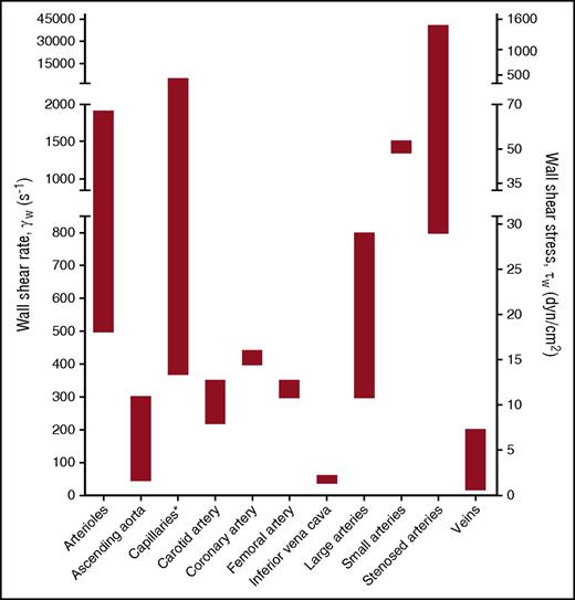 Figure 3. Wall shear rates and corresponding shear stresses in the vascular system. The data presented are from de Groot and Sixma83 and Sakariassen et al84 assuming blood as a Newtonian fluid with a constant viscosity and a laminar flow. Asterisk indicates that shear stress is irrelevant because of microcirculatory blood flow.