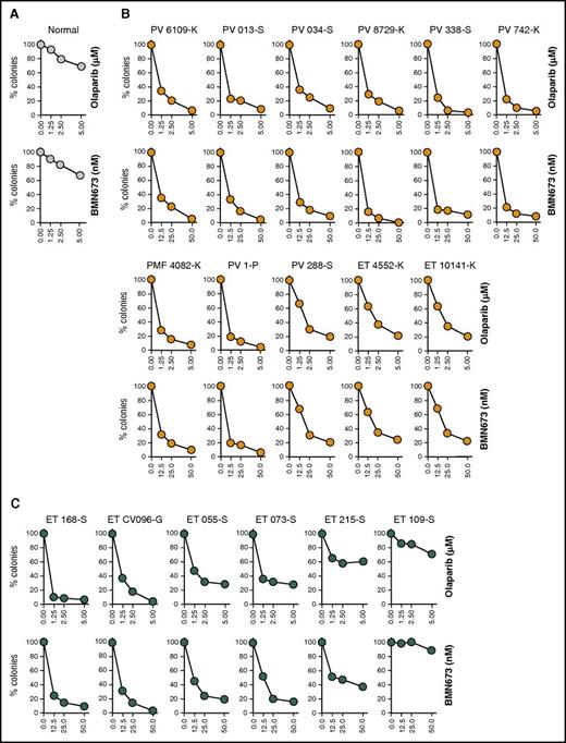 Sensitivity of individual MPN samples expressing JAK2(V617F), CALR(del52), and MPL(ex10mut) to PARPi. Lin−CD34+ primary cells from (A) healthy donors (n = 3) and from (B) JAK2(V617F)+, (C) CALR(del52)+, (D) MPL(ex10mut)+ MPN patients were incubated with olaparib (1.25, 2.5, 5.0 μM) or BMN673 (12.5, 25.0, 50.0 nM) for 96 hours in the presence of growth factors (100 ng/mL SCF; 10 ng/mL Flt3 ligand; 20 ng/mL IL-3, IL-6, granulocyte colony-stimulating factor, and GM-CSF; 12 U/mL Epo; 2.5 ng/mL thrombopoietin) followed by plating in methylcellulose. Colonies were counted after 7 to 10 days. Results represent the percentage of colonies in comparison with untreated control.