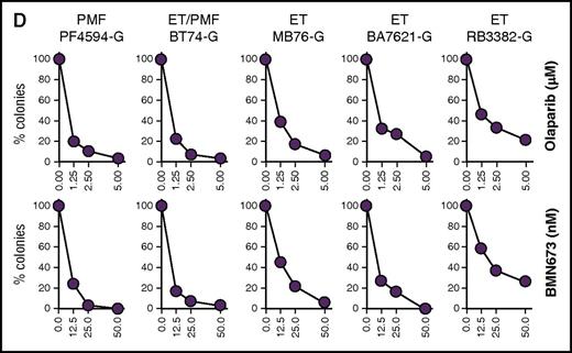 Sensitivity of individual MPN samples expressing JAK2(V617F), CALR(del52), and MPL(ex10mut) to PARPi. Lin−CD34+ primary cells from (A) healthy donors (n = 3) and from (B) JAK2(V617F)+, (C) CALR(del52)+, (D) MPL(ex10mut)+ MPN patients were incubated with olaparib (1.25, 2.5, 5.0 μM) or BMN673 (12.5, 25.0, 50.0 nM) for 96 hours in the presence of growth factors (100 ng/mL SCF; 10 ng/mL Flt3 ligand; 20 ng/mL IL-3, IL-6, granulocyte colony-stimulating factor, and GM-CSF; 12 U/mL Epo; 2.5 ng/mL thrombopoietin) followed by plating in methylcellulose. Colonies were counted after 7 to 10 days. Results represent the percentage of colonies in comparison with untreated control.
