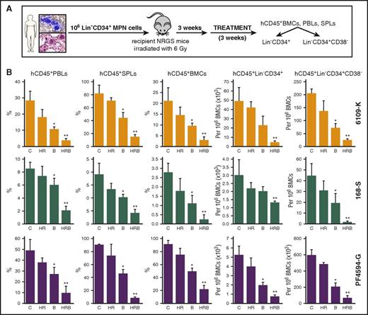 Figure 6. BMN673 exerted an anti-MPN xenograft effect in vivo. (Panel A) Experimental model. Sublethally irradiated NRGS recipient mice were injected with 106 primary Lin− MPN cells from individual MPN patients expressing JAK2(V617F), CALR(del52), or MPL(W515L). One week later, mice were treated with vehicle (C), hydroxyurea (H; 30 mg/kg twice daily IP) plus ruxolitinib (R; 30 mg/kg twice daily oral gavage) (HR), BMN673 (B; 0.33 mg/kg IV), and HR+B (HRB) for 3 weeks (3-5 mice per group). Indicated cells were detected by immunofluorescence. (Panel B) Percentage of hCD45+ cells was measured in peripheral blood leukocytes (PBLs), splenocytes (SPLs), and bone marrow cells (BMCs). Number of hCD45+ BMCs expressing Lin−CD34+ and Lin−CD34+CD38− per 106 cells was determined. *P < .05 and **P < .05 in comparison with C and all other groups, respectively, using the Student t test.