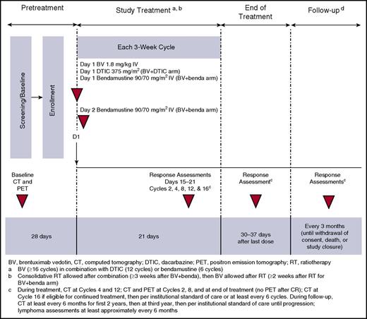 Figure 1. Study design.